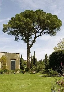 Villa Malavolta Scandicci